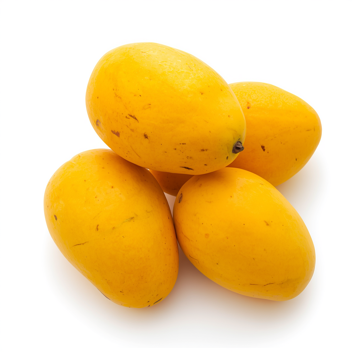 Alphonso Mango — dozen