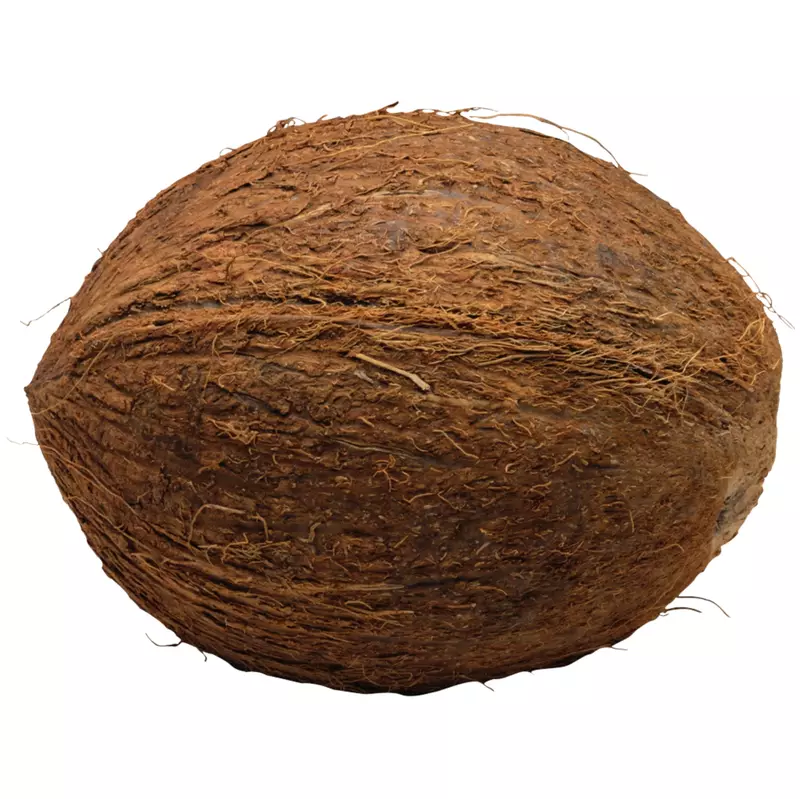 Coconut Brown [pc]