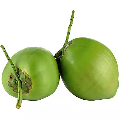 Coconut Tender [pc]