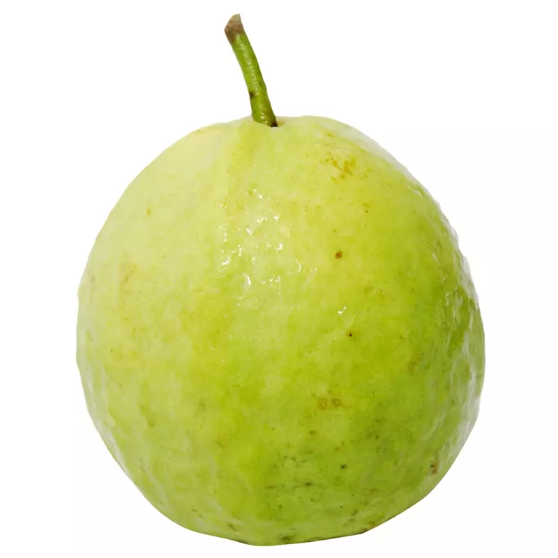 Guava Raipur [pc]