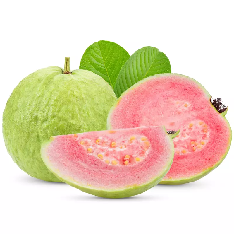 Pink Guava [4pcs]